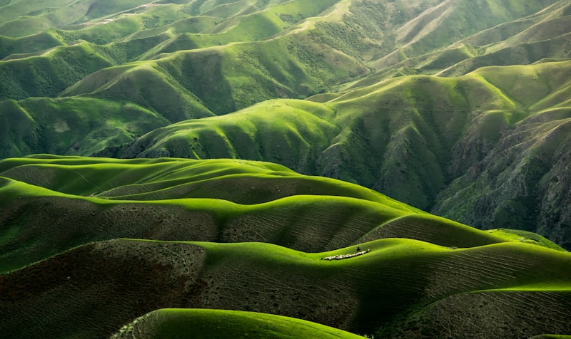 Peaceful landscape as a memorial tribute